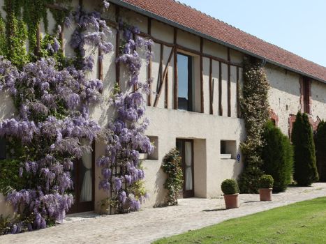 La belle glycine du domaine de Brunel